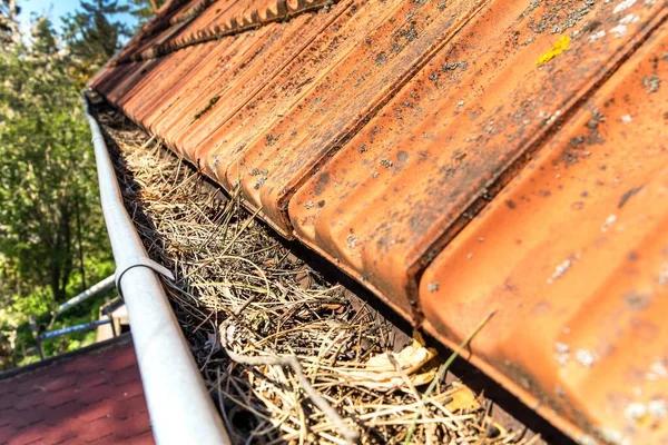 Top-Rated Water Damage Cleanup Company in Wildomar